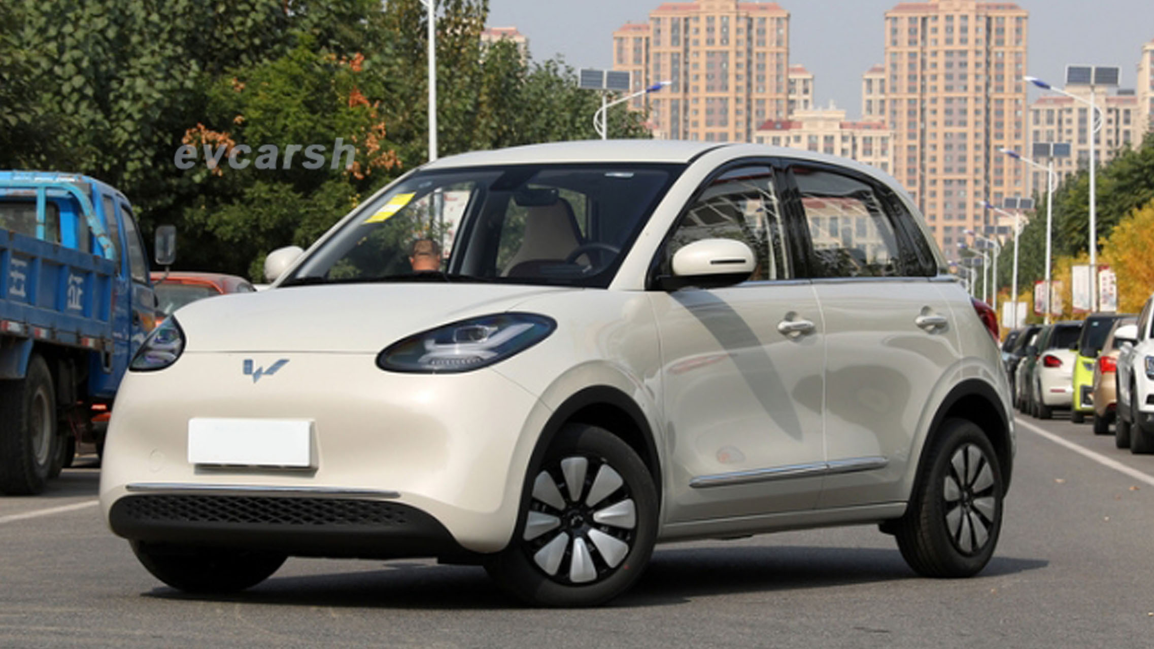 Wuling Binguo